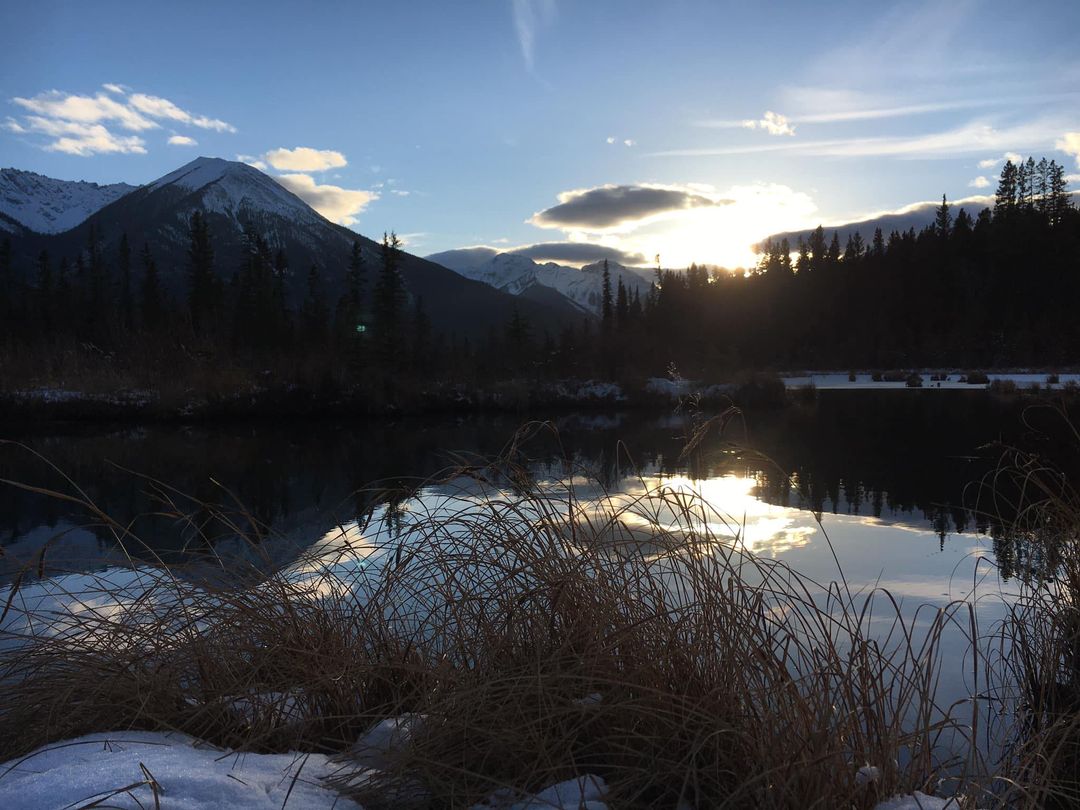 May be an image of lake, tree, nature and mountain